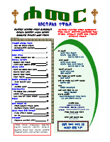 7. Hamer Megabit final.pdf